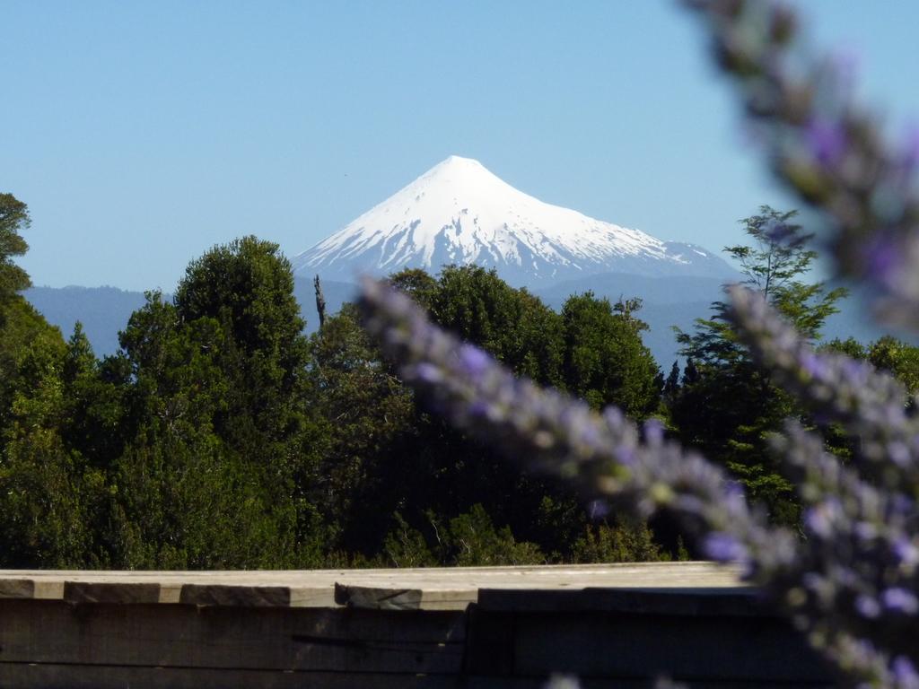 Lodge El Taique Puyehue Exterior photo